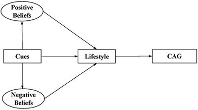 Health beliefs, lifestyle, and cognitive aging among Chinese community residents: A structural equation model analysis